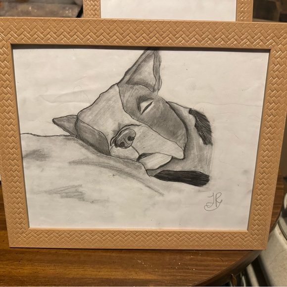 Boston Terrier, Hand drawn - Picture 2 of 4